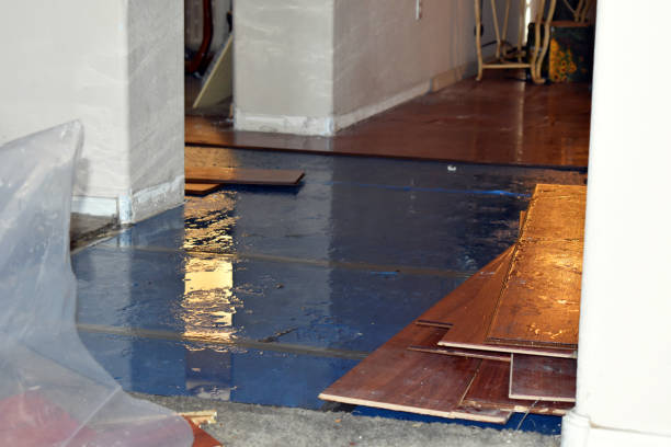 Professional Water Damage Restoration technician working in Oakhurst, TX